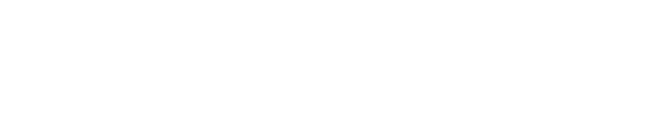 VisionARi logo (official)